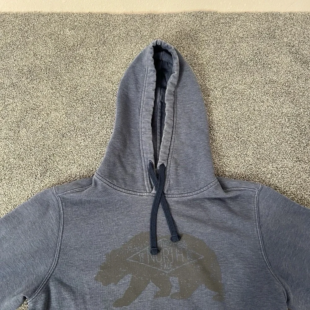 The North Face Hoodie Mens Medium Gray Bear Graphic Pullover Sweatshirt